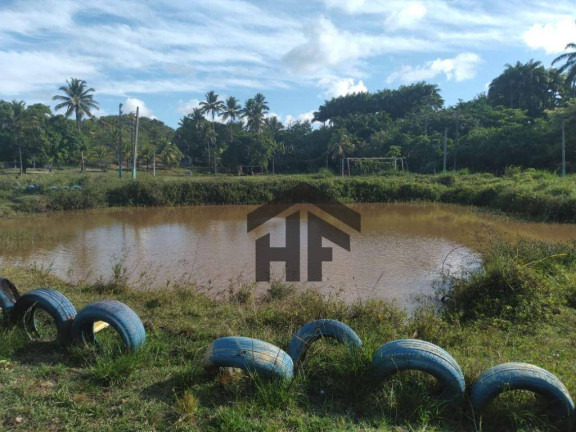 Imagem Chácara com 6 Quartos à Venda, 25.000 m² em Cruz De Rebouças - Igarassu