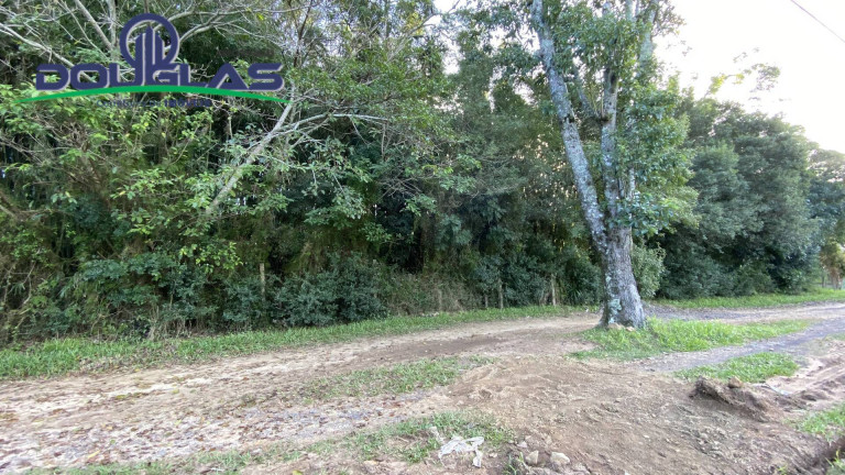 Imagem Terreno à Venda, 1.600 m² em Viamão Imagem Terreno à Venda, 1.600 m² em Viamão