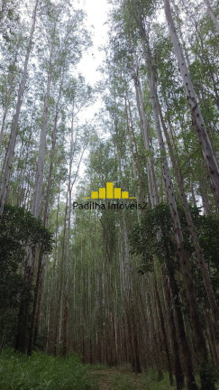 Imagem Fazenda à Venda, 241 m² em Guaratinguetá Imagem Fazenda à Venda, 241 m² em Guaratinguetá