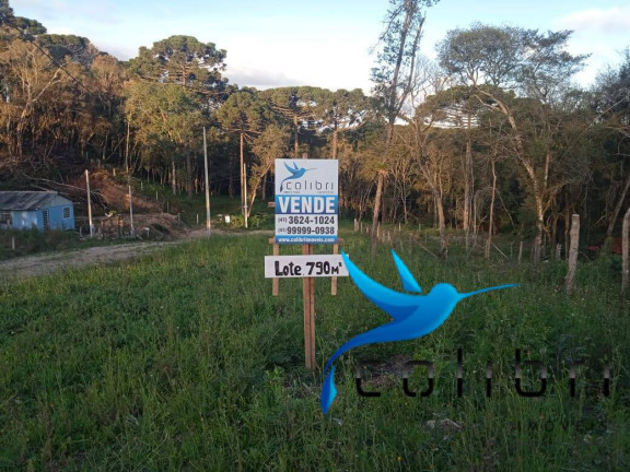 Terreno à Venda, 780 m² em Leão - Agudos Do Sul