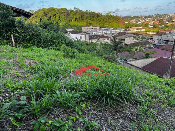 Imagem Terreno à Venda, 442 m² em Itaum - Joinville