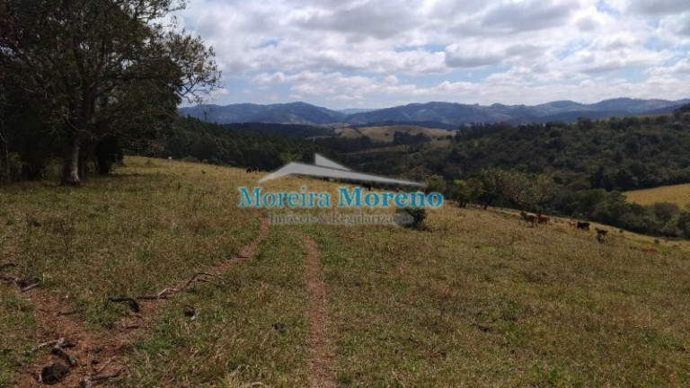 Imagem Imóvel à Venda, 29 m² em Zona Rural - Borda Da Mata Imagem Imóvel à Venda, 29 m² em Zona Rural - Borda Da Mata