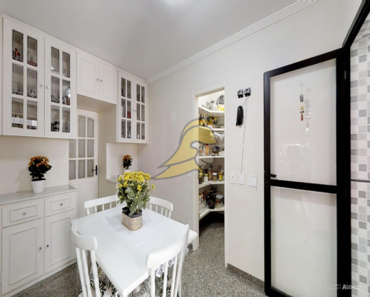 Imagem Apartamento com 4 Quartos à Venda, 160 m² em Vila Suzana - São Paulo Imagem Apartamento com 4 Quartos à Venda, 160 m² em Vila Suzana - São Paulo