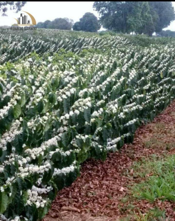 Imagem Fazenda à Venda, 31.860.000 m² em Zona Rural - Capelinha Imagem Fazenda à Venda, 31.860.000 m² em Zona Rural - Capelinha