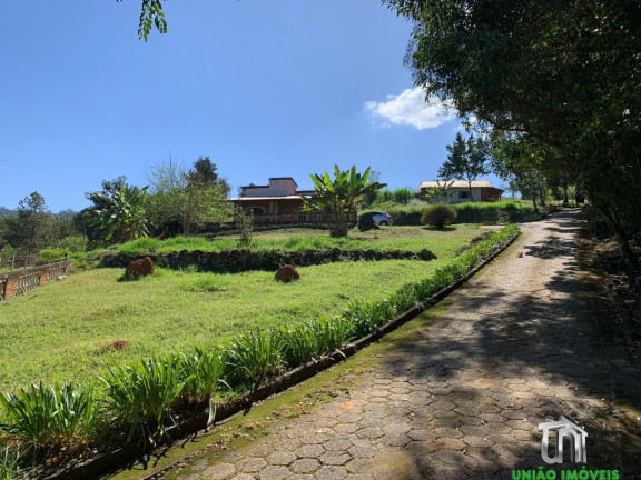 Imagem Imóvel com 4 Quartos à Venda, 6.000 m² em Pitangueiras - Pedra Bela