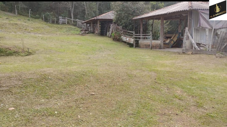 Imagem Imóvel com 2 Quartos à Venda, 32.000 m² em Rio Da Areia - Lapa