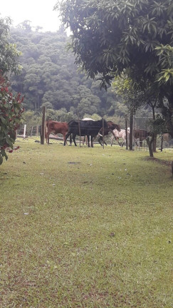 Imagem Chácara com 2 Quartos à Venda, 118 m² em Zona Rural - Angatuba