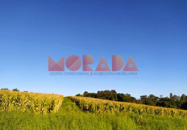 Imagem Fazenda à Venda, 10 m² em Zona Rural - Mundo Novo Imagem Fazenda à Venda, 10 m² em Zona Rural - Mundo Novo