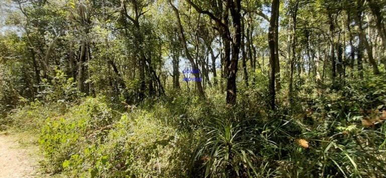 Imagem Imóvel com 1 Quarto à Venda, 20.954 m² em Rural - Lapa