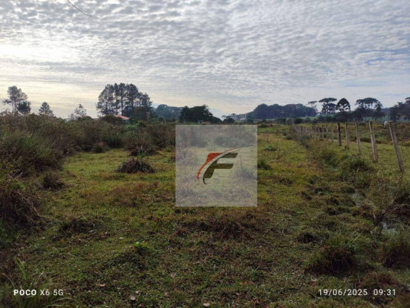 Imagem Chácara com 3 Quartos à Venda, 28.000 m² em Contenda - São José Dos Pinhais Imagem Chácara com 3 Quartos à Venda, 28.000 m² em Contenda - São José Dos Pinhais
