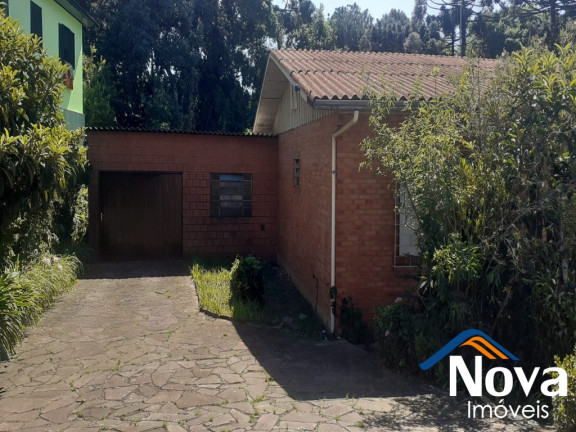 Imagem Imóvel com 2 Quartos à Venda, 1.193 m² em Vila Germânia - Nova Petrópolis