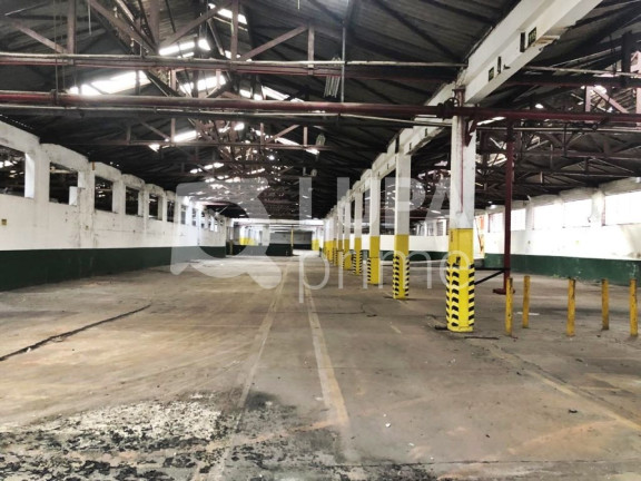 Terreno à Venda, 28.820 m² em Vila Maria Baixa - São Paulo