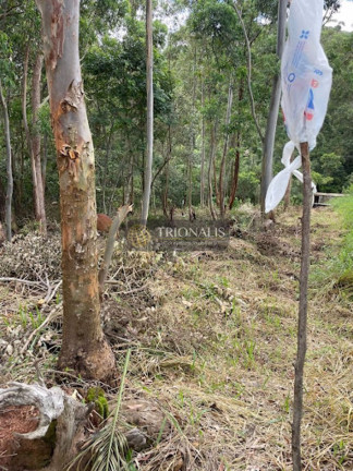 Imagem Terreno à Venda, 360 m² em Bosque Dos Eucalíptos - Atibaia Imagem Terreno à Venda, 360 m² em Bosque Dos Eucalíptos - Atibaia