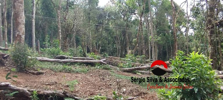 Terreno à Venda, 1.940 m² em Nova Capivari - Campos Do Jordão