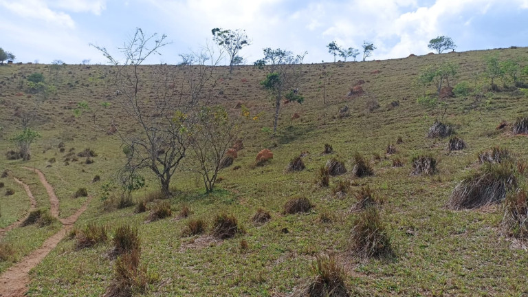 Imagem Chácara com 1 Quarto à Venda, 10 m² em Capim Da Angola - Paraibuna Imagem Chácara com 1 Quarto à Venda, 10 m² em Capim Da Angola - Paraibuna