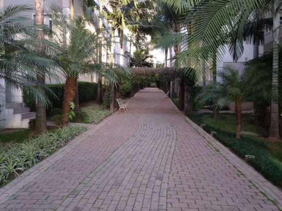 Imagem Cobertura com 3 Quartos à Venda, 110 m² em Cidade Dos Bandeirantes - São Paulo