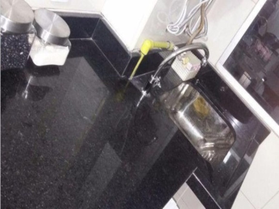 Imagem Apartamento com 3 Quartos à Venda, 62 m² em Jardim Marilu - São Paulo