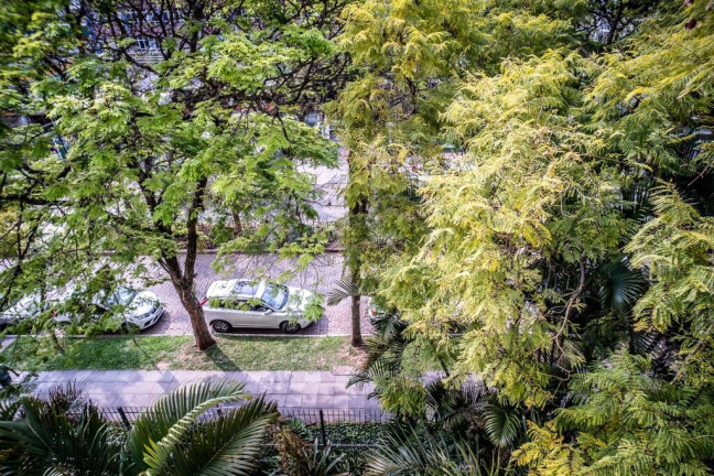 Imagem Apartamento com 3 Quartos à Venda, 141 m² em Menino Deus - Porto Alegre