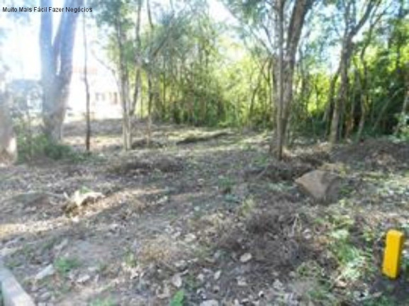 Terreno à Venda, 528 m² em Juriti - Nova Petrópolis