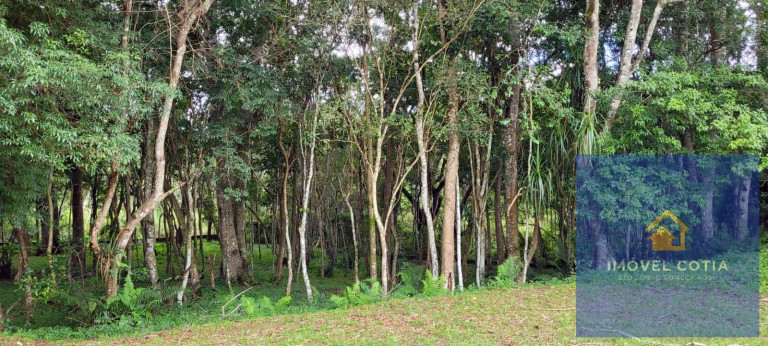 Imagem Terreno à Venda, 11.957 m² em Esmeralda Park (caucaia Do Alto) - Cotia