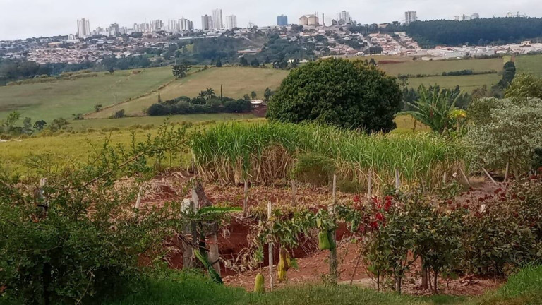 Chácara à Venda,  em Arapongas