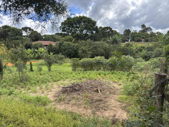 Imagem Imóvel à Venda, 5.500 m² em Rio Da Várzea - Quitandinha Imagem Imóvel à Venda, 5.500 m² em Rio Da Várzea - Quitandinha