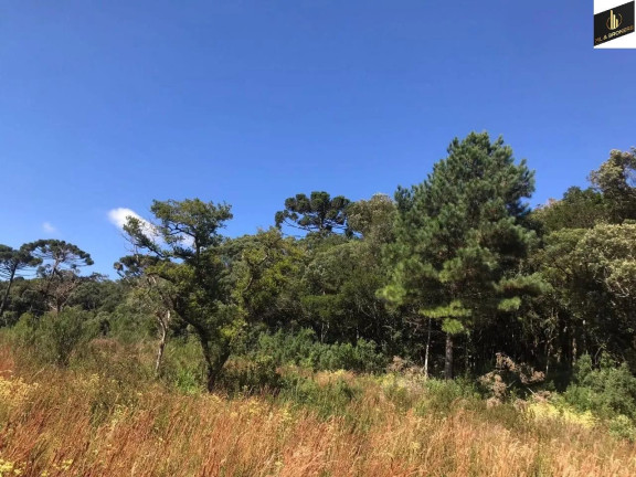 Imagem Imóvel com 3 Quartos à Venda, 30.000 m² em Zona Rural - Tijucas Do Sul