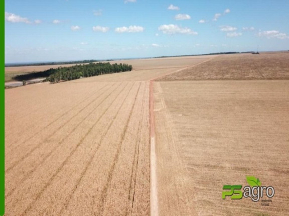 Imagem Imóvel à Venda, 390.000.000 m² em Zona Rural - Santa Terezinha Imagem Imóvel à Venda, 390.000.000 m² em Zona Rural - Santa Terezinha