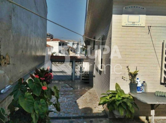 Imagem Casa com 5 Quartos à Venda, 241 m² em Vila Maria Alta - São Paulo Imagem Casa com 5 Quartos à Venda, 241 m² em Vila Maria Alta - São Paulo
