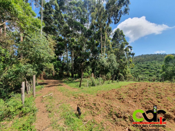 Imagem Imóvel com 3 Quartos à Venda, 22 m² em Caldas - Caldas