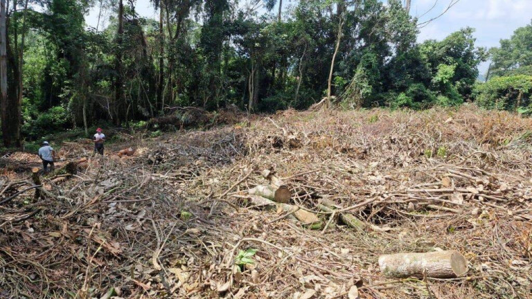 Imagem Terreno em Condomínio à Venda, 1.403 m² em Jardim São Vicente - Cotia Imagem Terreno em Condomínio à Venda, 1.403 m² em Jardim São Vicente - Cotia