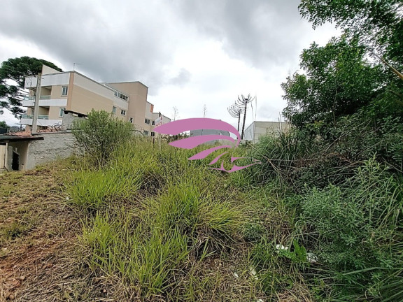Imagem Terreno à Venda, 500 m² em Bom Jesus - São José Dos Pinhais Imagem Terreno à Venda, 500 m² em Bom Jesus - São José Dos Pinhais