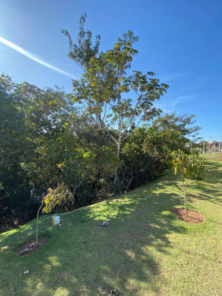 Imagem Terreno à Venda, 300 m² em Condomínio Belvedere Ii - Cuiabá Imagem Terreno à Venda, 300 m² em Condomínio Belvedere Ii - Cuiabá
