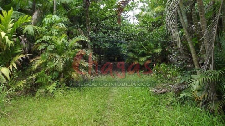 Terreno à Venda, 39.000 m² em Massaguaçu - Caraguatatuba
