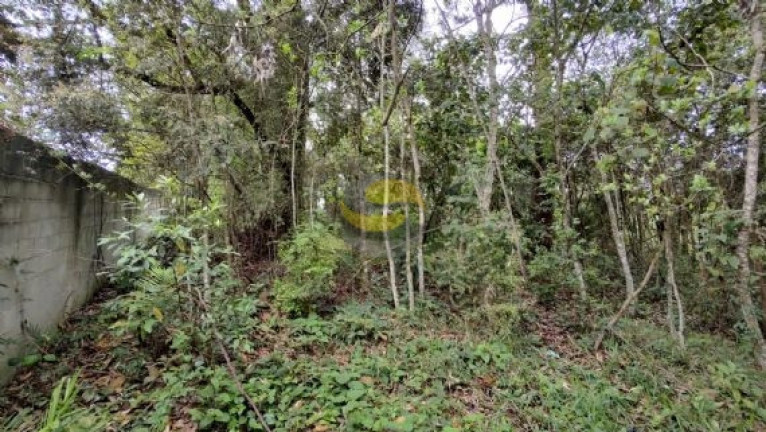Imagem Terreno à Venda, 3.000 m² em Paisagem Renoir - Cotia Imagem Terreno à Venda, 3.000 m² em Paisagem Renoir - Cotia
