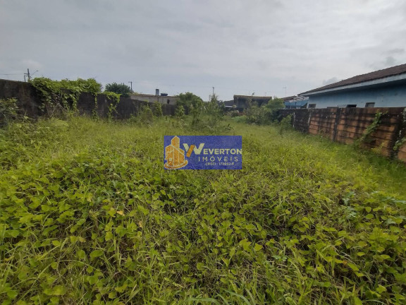 Imagem Terreno à Venda, 270 m² em Agenor De Campos - Mongaguá