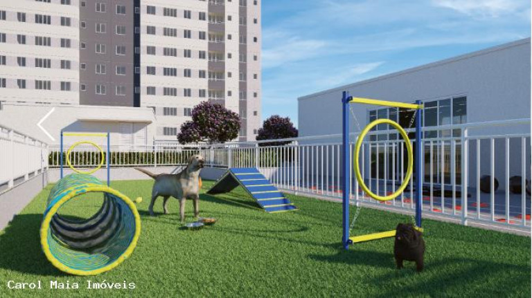 Imagem Apartamento com 2 Quartos à Venda, 46 m² em Parque Riacho Das Pedras - Contagem Imagem Apartamento com 2 Quartos à Venda, 46 m² em Parque Riacho Das Pedras - Contagem