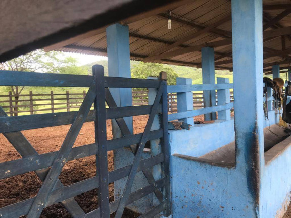 Imagem Chácara à Venda, em Belém Imagem Chácara à Venda, em Belém
