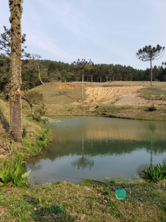 Imagem Imóvel com 1 Quarto à Venda, 72.000 m² em Interior - Bom Retiro