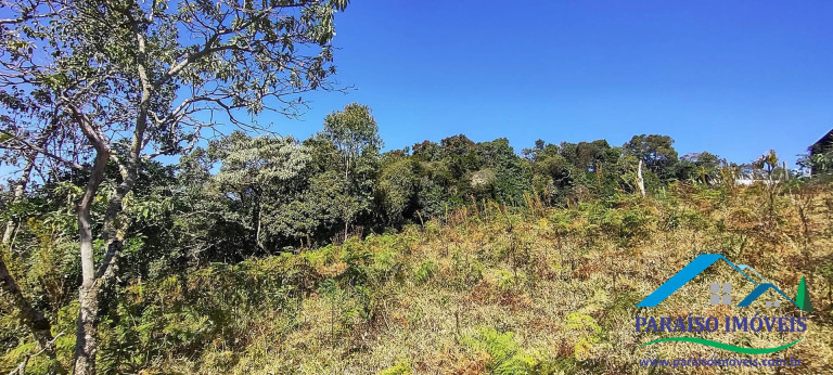 Imagem Chácara à Venda, 100 m² em Centro - Gonçalves