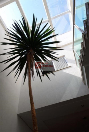 Imagem Sobrado com 3 Quartos à Venda, 175 m² em Vila Floresta - Santo André Imagem Sobrado com 3 Quartos à Venda, 175 m² em Vila Floresta - Santo André