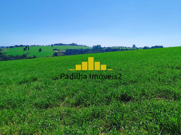 Imagem Fazenda à Venda, 136 m² em Capão Bonito