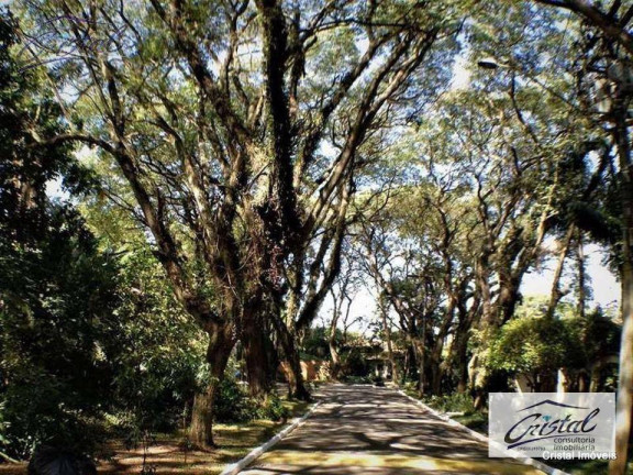 Imagem Terreno à Venda, 509 m² em Granja Viana - Cotia Imagem Terreno à Venda, 509 m² em Granja Viana - Cotia