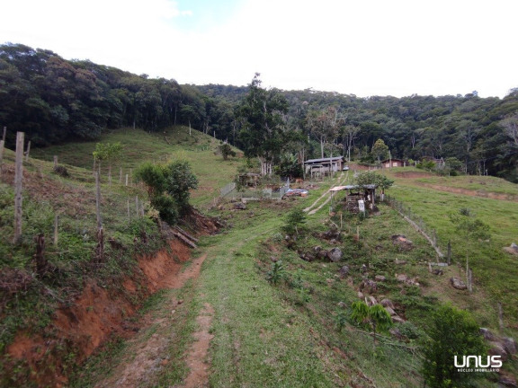 Imagem Fazenda à Venda, 13.000 m² em Pagará - São Pedro De Alcântara Imagem Fazenda à Venda, 13.000 m² em Pagará - São Pedro De Alcântara