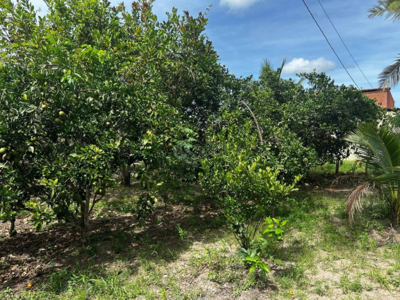Imagem Chácara com 7 Quartos à Venda, em Centro - Areia Branca Imagem Chácara com 7 Quartos à Venda, em Centro - Areia Branca