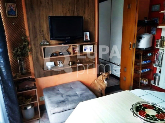 Imagem Casa com 4 Quartos à Venda, 198 m² em Tucuruvi - São Paulo Imagem Casa com 4 Quartos à Venda, 198 m² em Tucuruvi - São Paulo