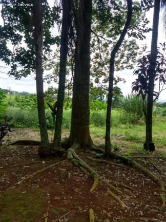 Imagem Imóvel à Venda, 121.000 m² em Ipelândia - Suzano Imagem Imóvel à Venda, 121.000 m² em Ipelândia - Suzano