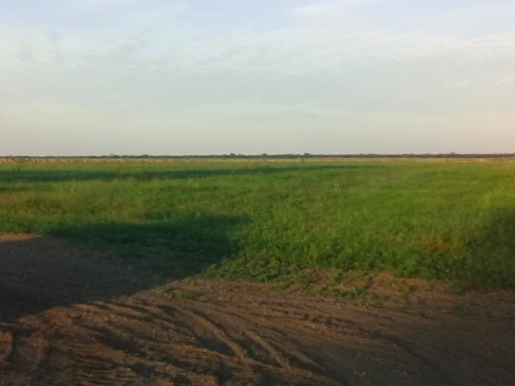 Imagem Fazenda à Venda,  em Serra Nova Dourada