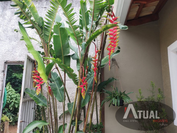 Imagem Casa com 3 Quartos à Venda, 272 m² em Terra Preta (terra Preta) - Mairiporã Imagem Casa com 3 Quartos à Venda, 272 m² em Terra Preta (terra Preta) - Mairiporã