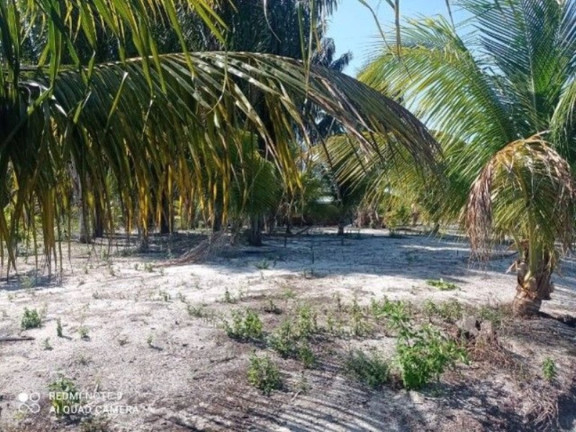 Imagem Fazenda à Venda, 400.000 m² em Ilha De Atalaia - Canavieiras Imagem Fazenda à Venda, 400.000 m² em Ilha De Atalaia - Canavieiras